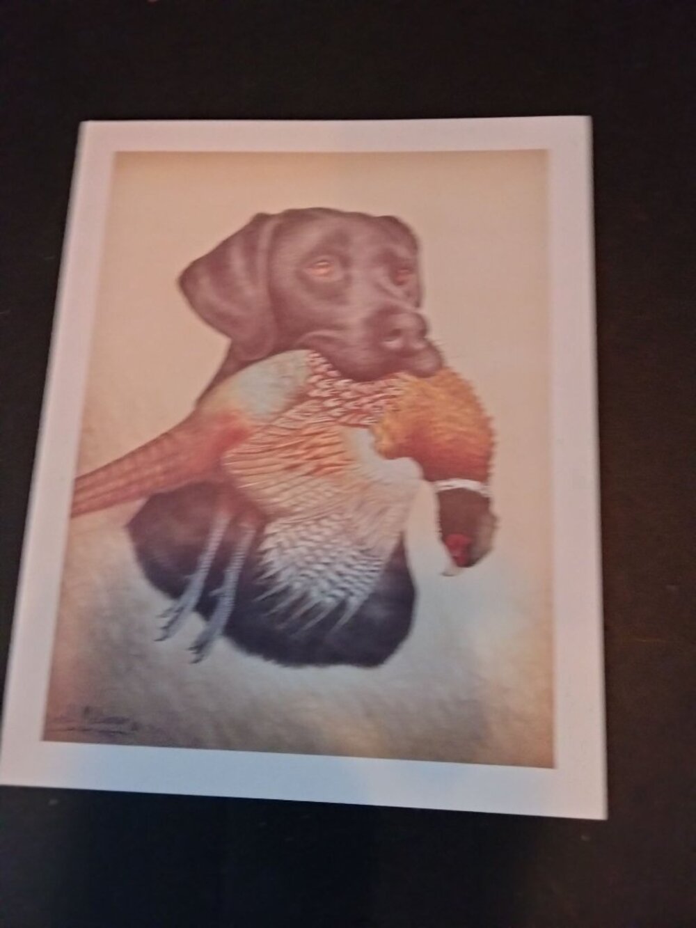 Black Labrador Retriever Pheasant Note Card Carle J Melichar  1994 Blank USA